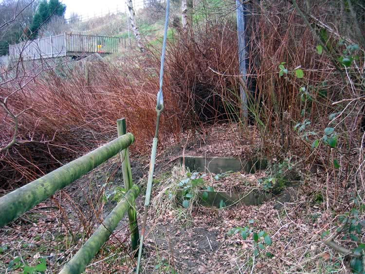 Photograph: 2008: Path overgrown