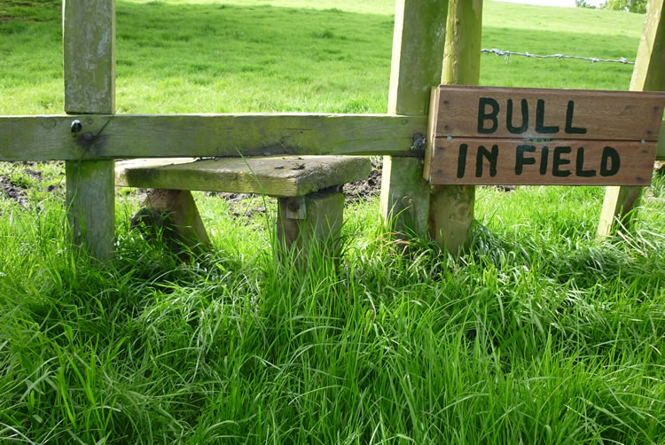 Photograph: 2009: Broken stile