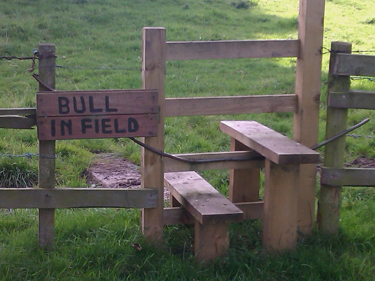 Photograph: 2010: New stile