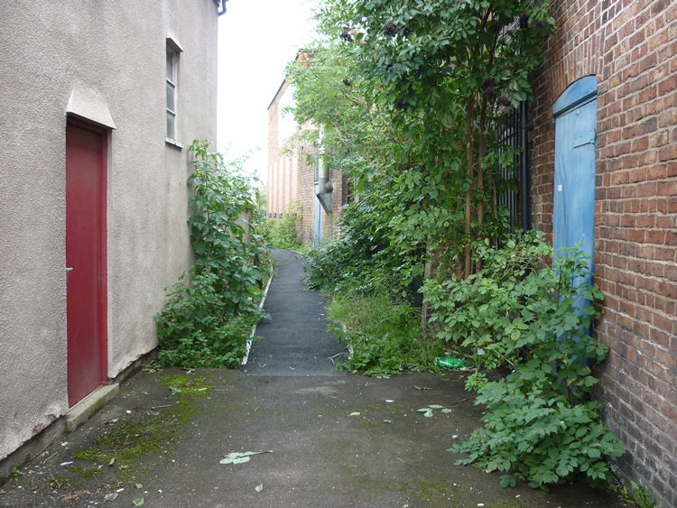 Photograph: 2010: Path cleared, surface sealed