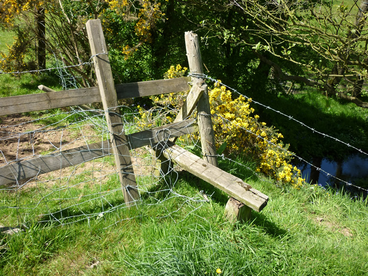 Photograph: 2009: Broken stile