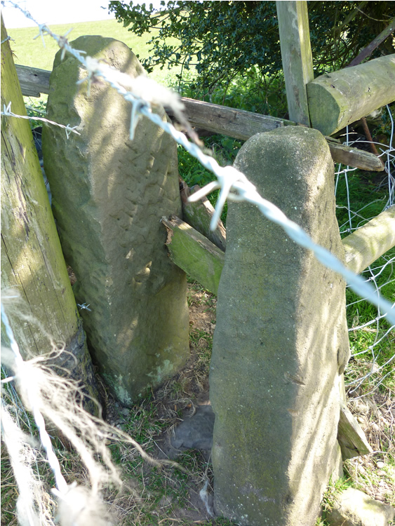 Photograph: 2009: Wooden rails and barbed wire make access difficult