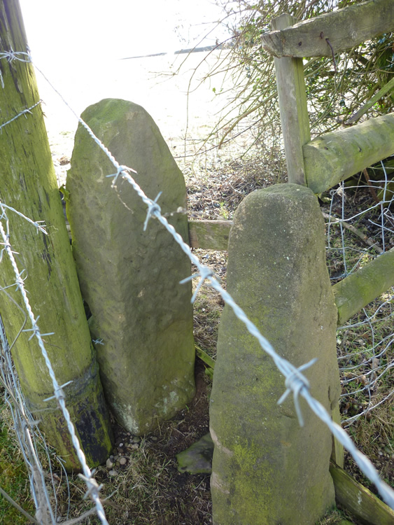 Photograph: 2010: Rail is lower: an improvement, but still not satisfactory