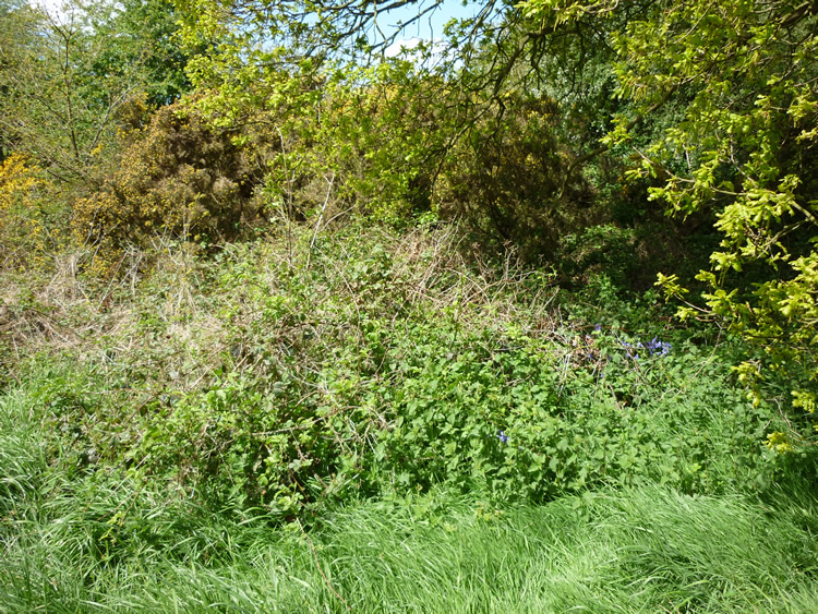 Photograph: 2009: No way through