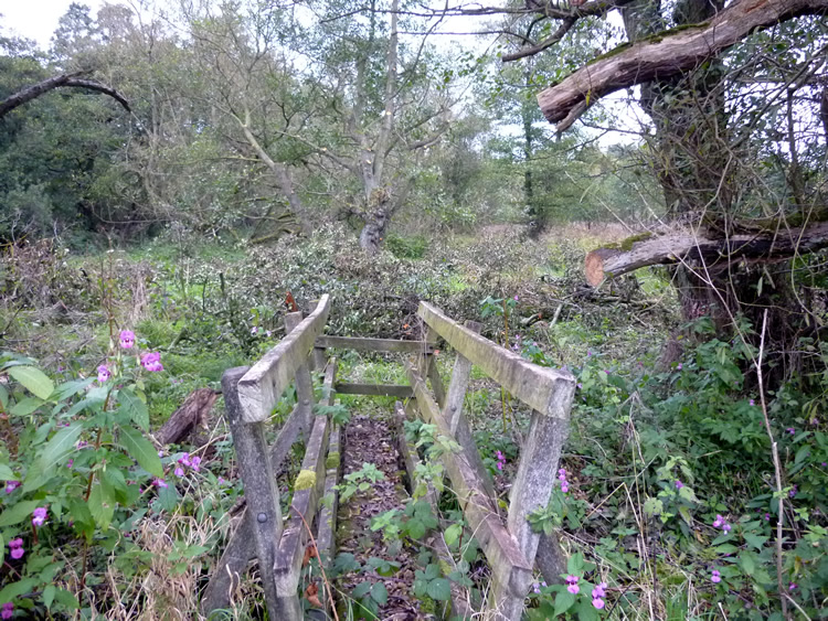Photograph: October 2010: Bridge now clear