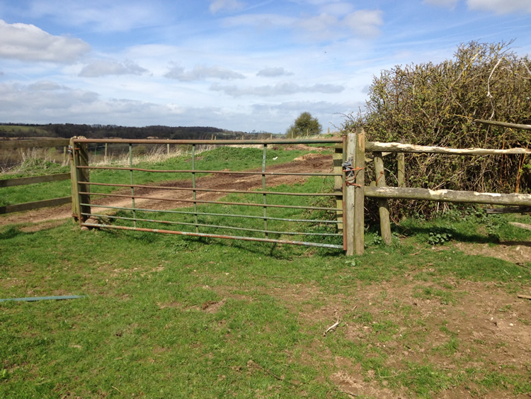 Photograph: Gate tied shut
