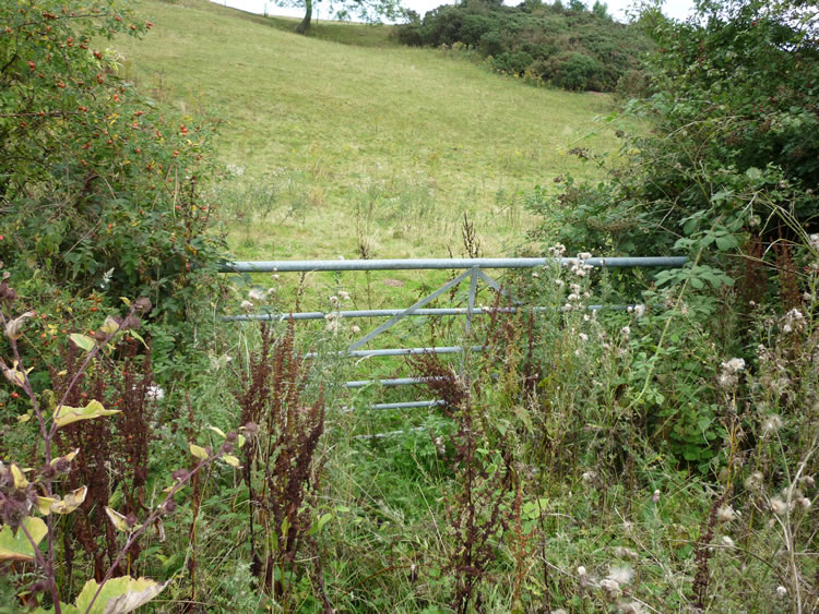 Photograph: August 2010: Gate impossible to open