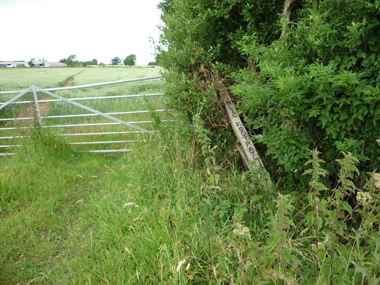 Photograph: 2009: Signpost fallen over