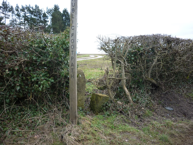 Photograph: 2010: Pallets removed