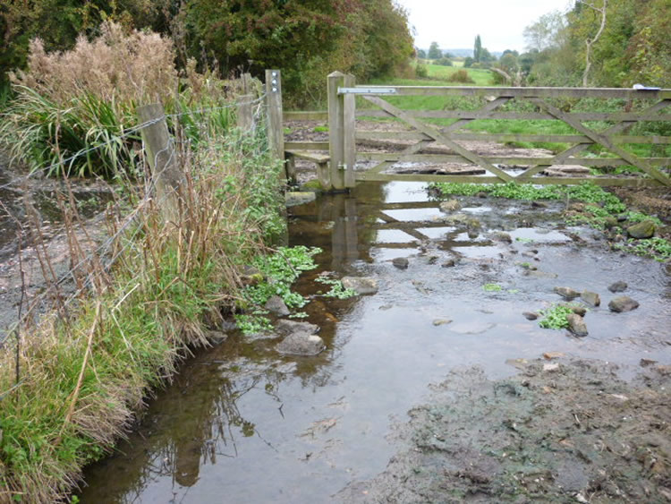 Photograph: Path under water