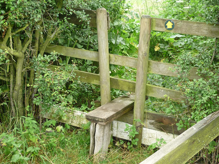 Photograph: 2009: New through step