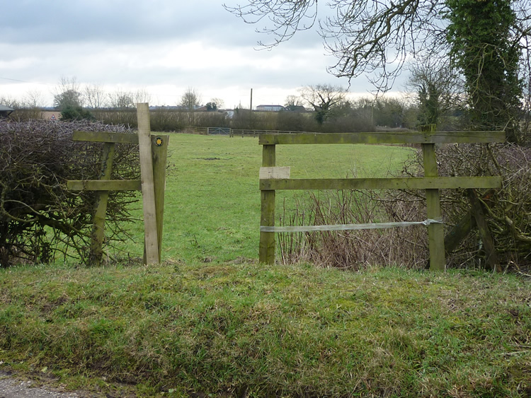 Photograph: 2010: New opening in fence